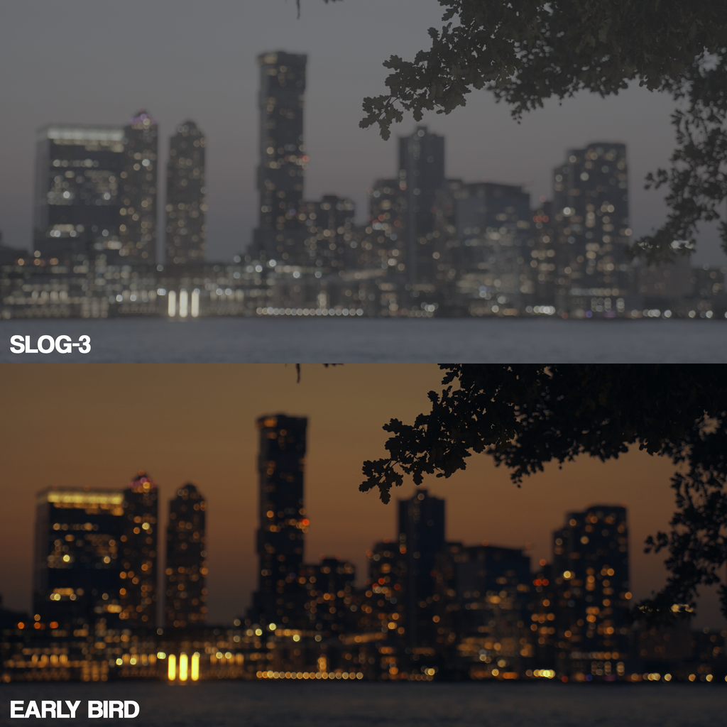 FULL MASTERCLASS – All Packs + Tutorials
