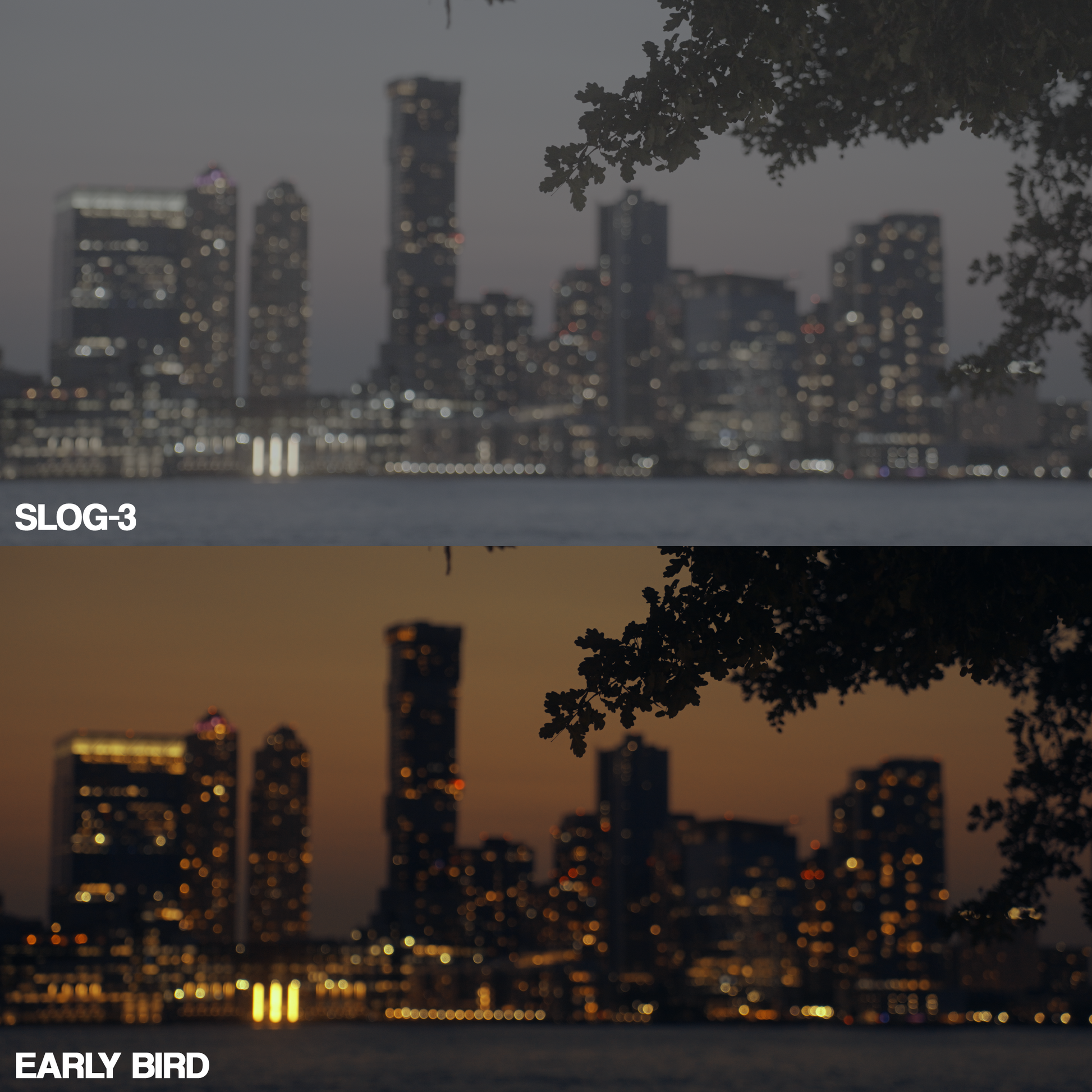 FULL MASTERCLASS – All Packs + Tutorials